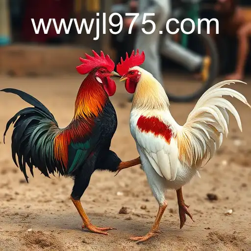 Cockfighting and Its Controversial Legacy